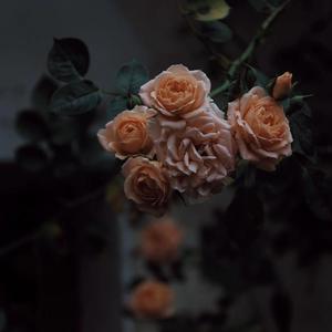 我解开胸罩喂男朋友吃奶
